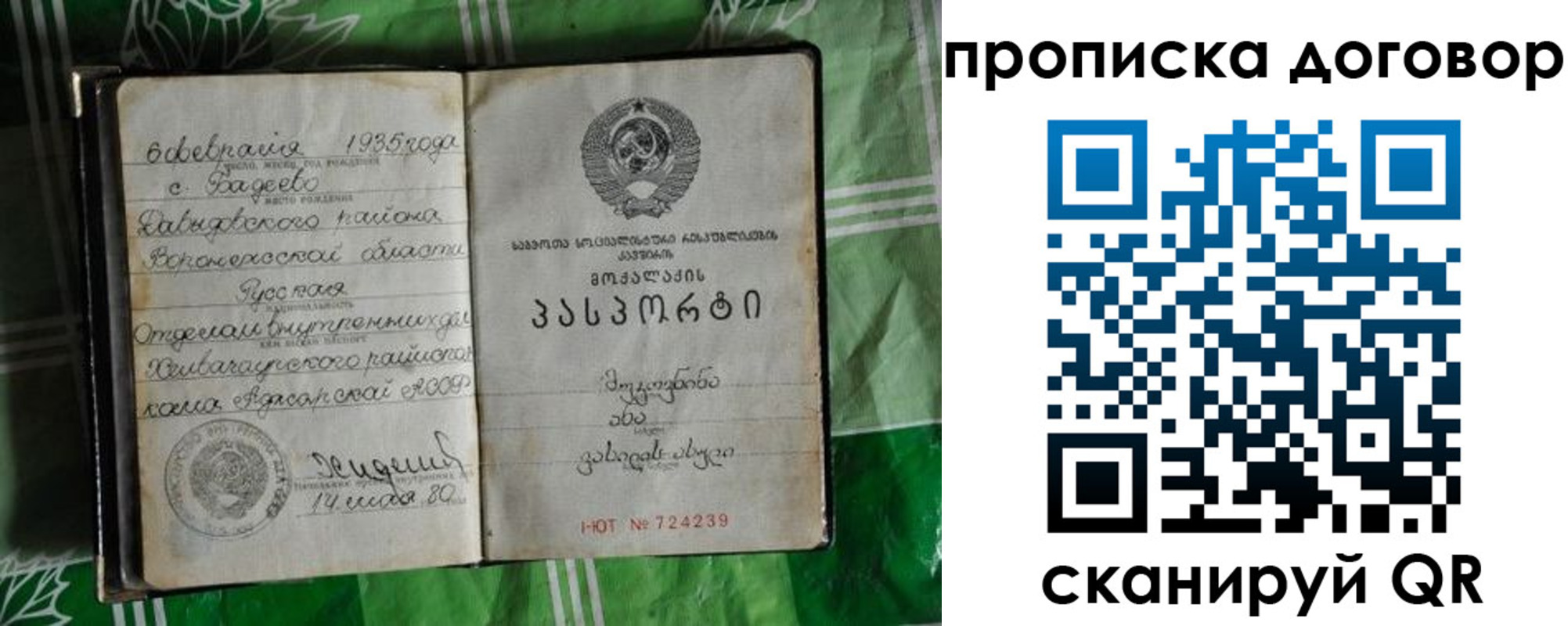 прописка в Калтане